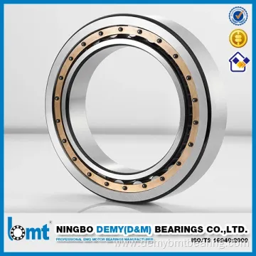 Cylindrical Roller Bearing Nu1021c3